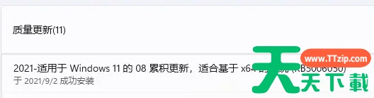 Win11更新22449.1000失败 Win11 22449.1000更新安装失败解决方法 Win11更新22449.1000失败 Win11 22449.1000更新安装失败解决方法