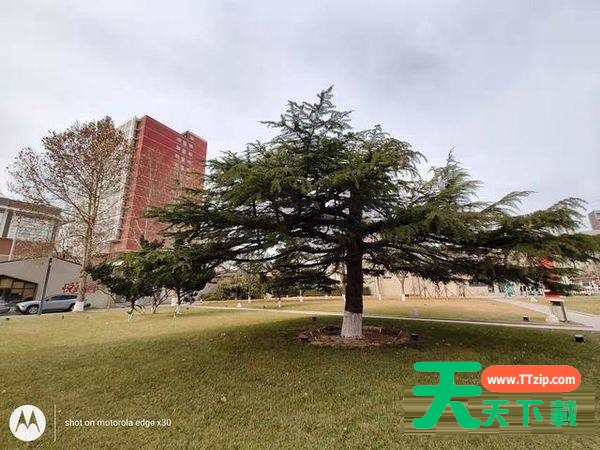 摩托罗拉edgex30拍照性能好吗?摩托罗拉edgex30拍照性能解析 摩托罗拉edgex30拍照性能好吗?摩托罗拉edgex30拍照性能解析