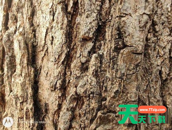 摩托罗拉edgex30拍照性能好吗?摩托罗拉edgex30拍照性能解析 摩托罗拉edgex30拍照性能好吗?摩托罗拉edgex30拍照性能解析