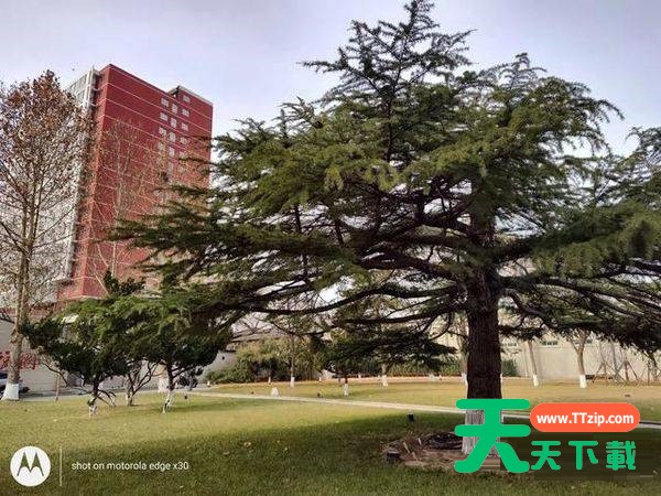 摩托罗拉edgex30拍照性能好吗?摩托罗拉edgex30拍照性能解析 摩托罗拉edgex30拍照性能好吗?摩托罗拉edgex30拍照性能解析