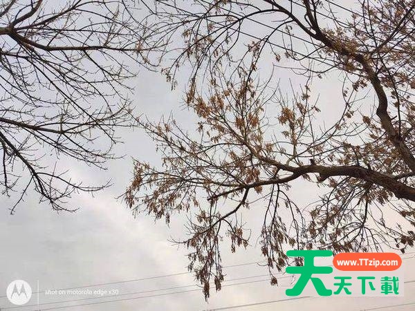 摩托罗拉edgex30拍照性能好吗?摩托罗拉edgex30拍照性能解析 摩托罗拉edgex30拍照性能好吗?摩托罗拉edgex30拍照性能解析