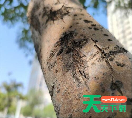 真我gtneo2摄像头参数是什么?真我gtneo2摄像头参数介绍 真我gtneo2摄像头参数是什么?真我gtneo2摄像头参数介绍