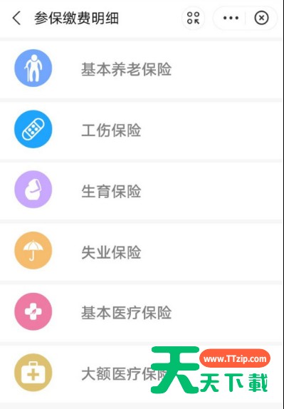 支付宝如何查询生育保险缴费记录 支付宝查看生育保险缴费记录方法 支付宝如何查询生育保险缴费记录 支付宝查看生育保险缴费记录方法