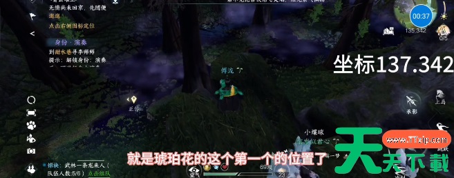 逆水寒手游琥珀花在哪里-逆水寒手游琥珀花位置坐标 逆水寒手游琥珀花在哪里-逆水寒手游琥珀花位置坐标