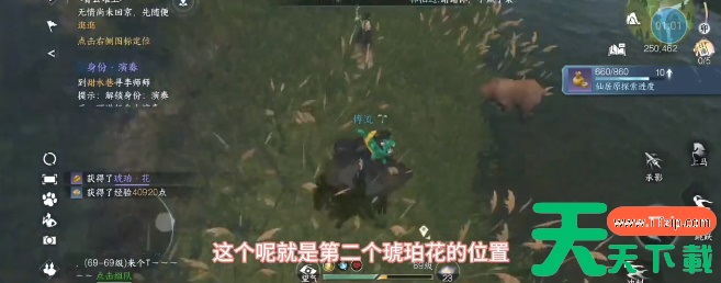 逆水寒手游琥珀花在哪里-逆水寒手游琥珀花位置坐标 逆水寒手游琥珀花在哪里-逆水寒手游琥珀花位置坐标