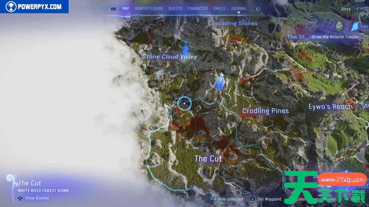 阿凡达潘多拉边境萌芽守护者全收集攻略 菌丝网络位置大全 阿凡达潘多拉边境萌芽守护者全收集攻略 菌丝网络位置大全