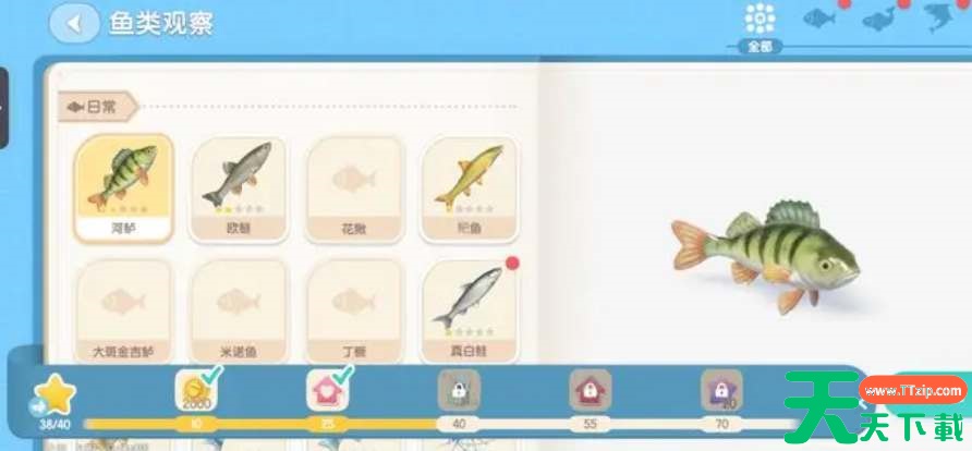 心动小镇鱼类刷新图鉴 心动小镇鱼类刷新图鉴