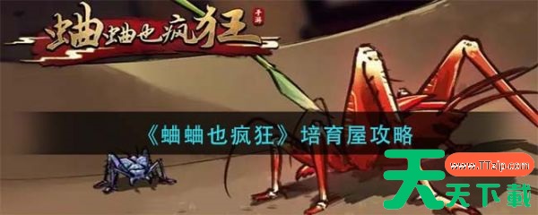 蛐蛐也疯狂培育屋攻略 具体介绍 蛐蛐也疯狂培育屋攻略 具体介绍