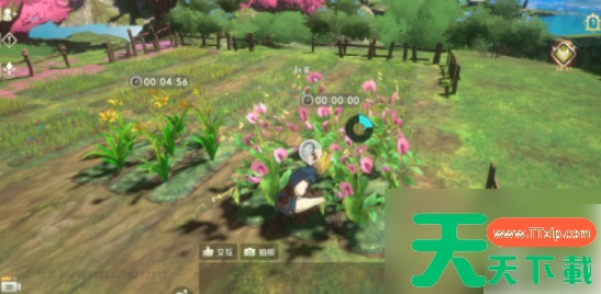 二之国交错世界如何获得鸡蛋 二之国交错世界特殊食材怎么获取 二之国交错世界如何获得鸡蛋 二之国交错世界特殊食材怎么获取