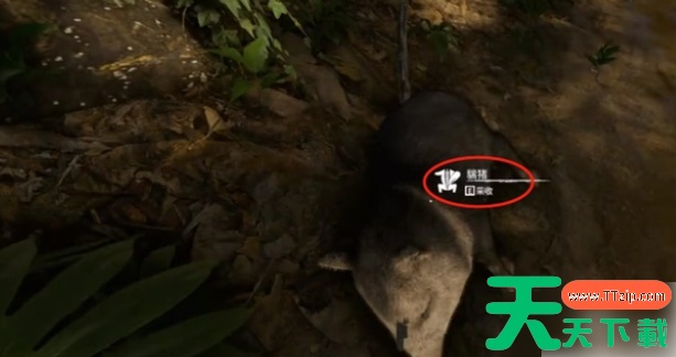 丛林地狱如何做骨针 绿色地狱手游做骨针方法 丛林地狱如何做骨针 绿色地狱手游做骨针方法